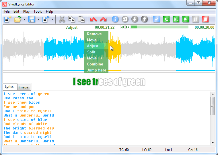 VividLyrics Editor